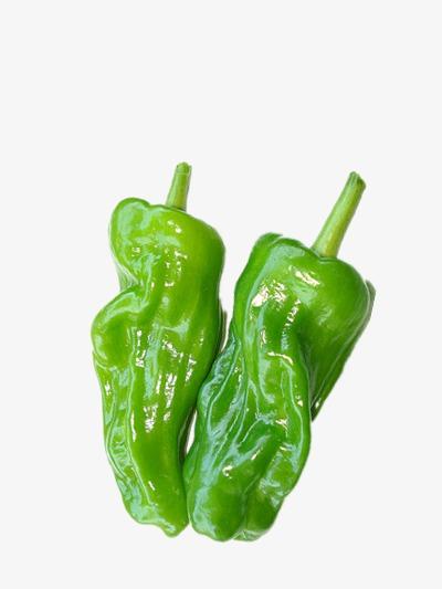 吳中區蔬菜配送時間表