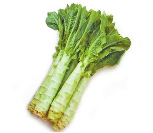 番禺化龍蔬菜配送中心點