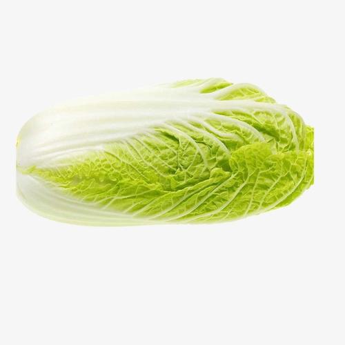 北碚蔬菜配送服務(wù)怎么樣